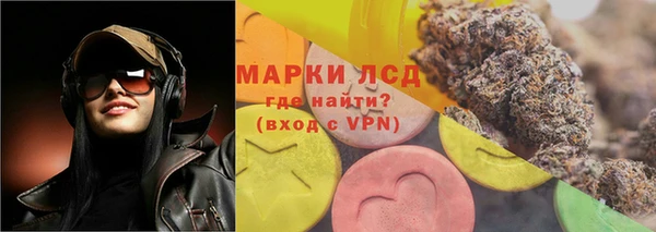 ГАЛЛЮЦИНОГЕННЫЕ ГРИБЫ Волосово