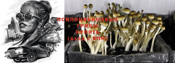 ГАЛЛЮЦИНОГЕННЫЕ ГРИБЫ Волосово