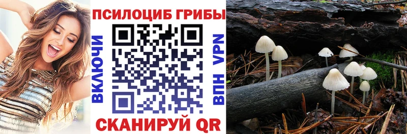 Купить закладки  Тетюши  Галлюциногенные грибы Cubensis 